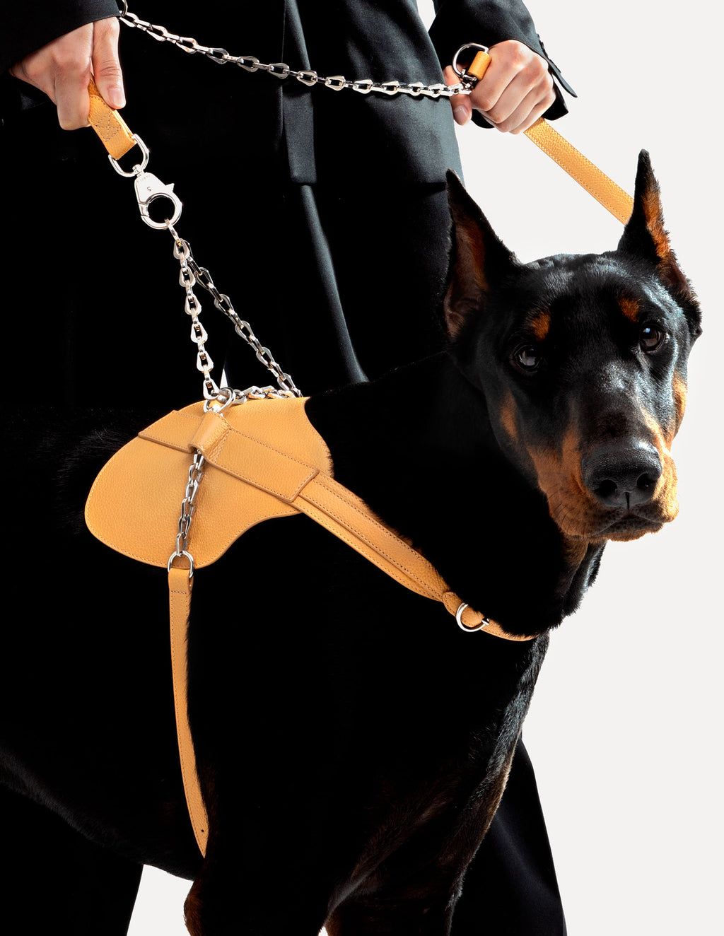 Luxury Dog Harness Adjustable