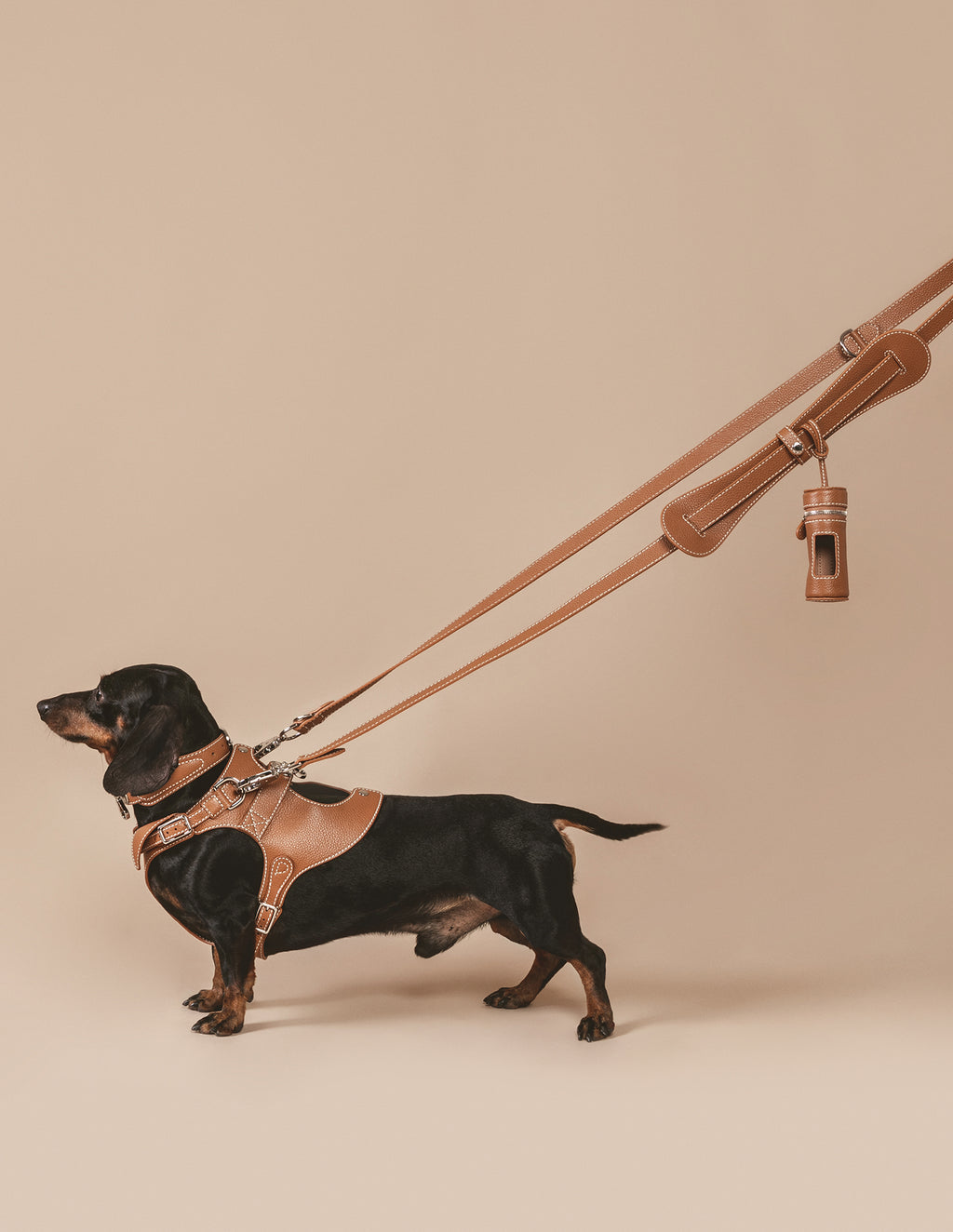 The Tascher, Luxury Leather Dog Leash