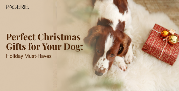 Christmas Gifts for Dogs: Must-Have Items to Make Their Season Bright