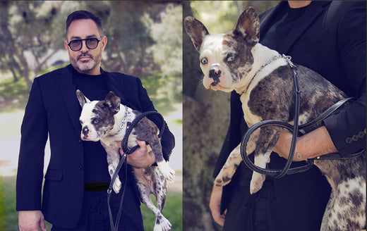 Man’s best friend: Multi-talented celebrity makeup artist Beau Nelson & his lovely rescued bulldog, Violet